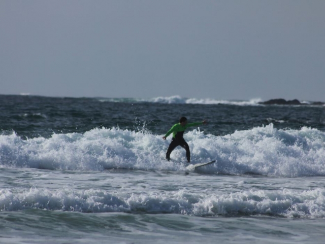 Grip Surf School